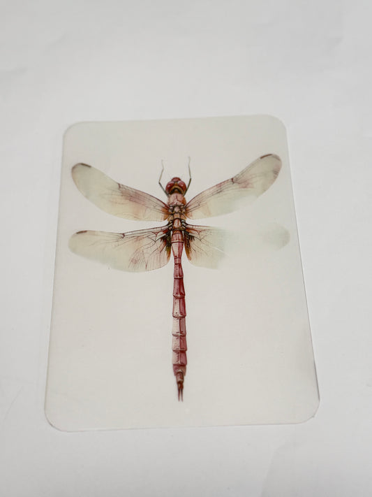 Dashboard PVC - Dragonfly