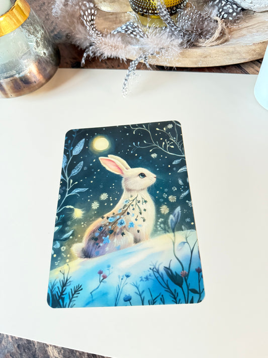 Dashboard PVC - Dream Rabbit